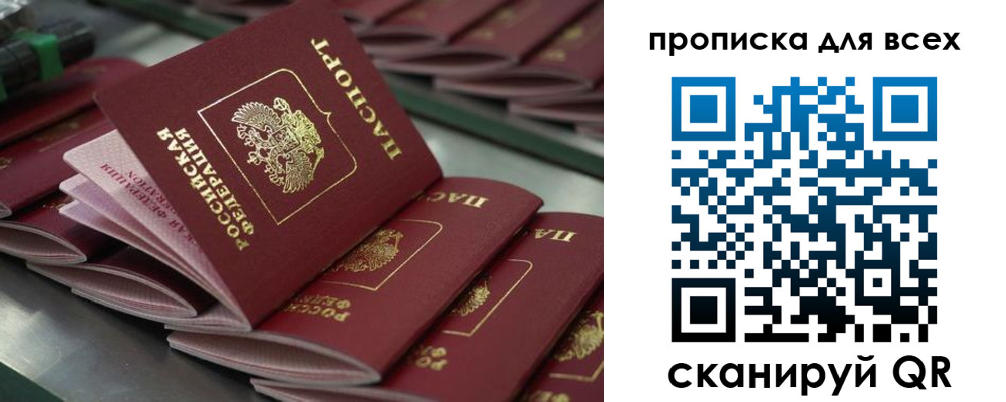 найти адрес прописки в Полярном